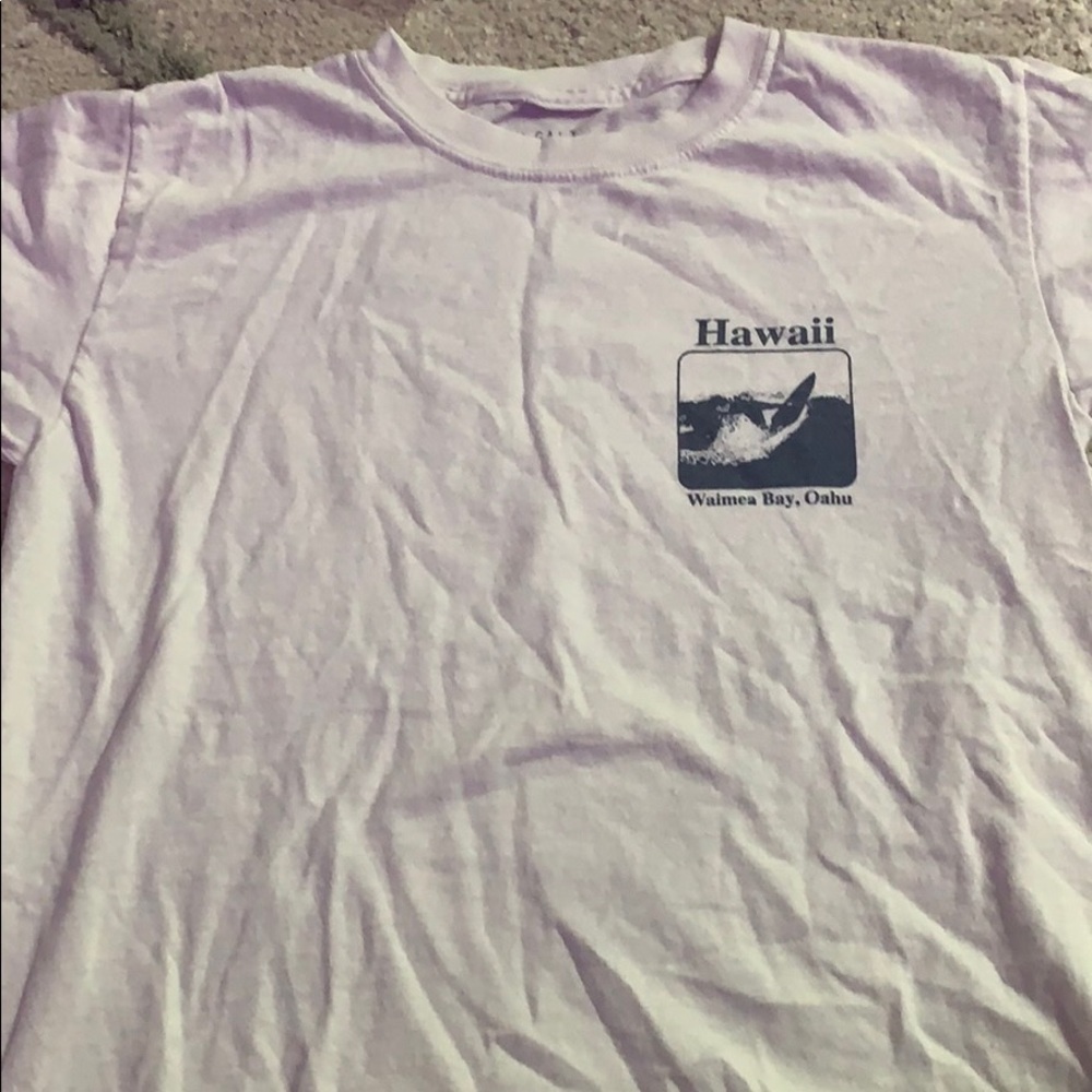 Hawaii short sleeve crop top from brandy Melville
